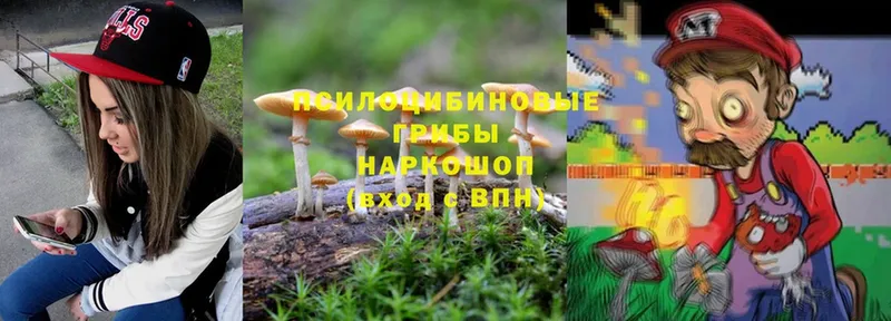 Псилоцибиновые грибы MAGIC MUSHROOMS  мега ТОР  Сочи 